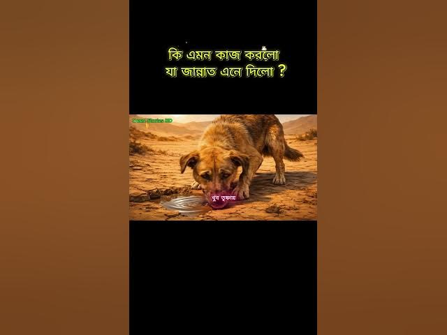 Video thumbnail for এই গল্প প্রমাণ করে সবচেয়ে ছোট কাজেও বড় পুরস্কার আছে #shorts #islamicvideo