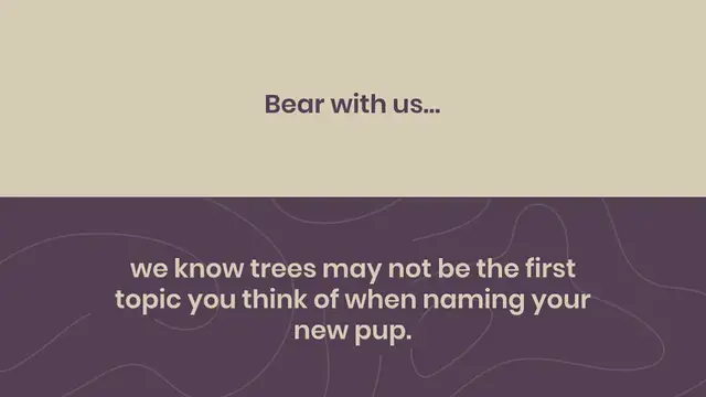 Video thumbnail for 70+ Tree Names for Dogs