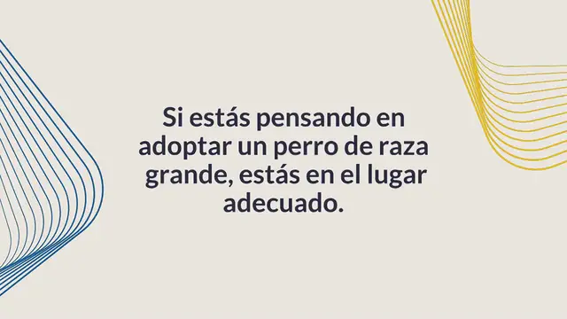 Video thumbnail for 20 razas de perros grandes (¡con fotos!)