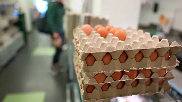 Video thumbnail for Costco Eggs Recalled What You Need to Know to Protect Your Family – FDA Alert