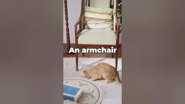 Video thumbnail for I Have Legs But I can't walk... What am I? | Tricky Riddle with Answer