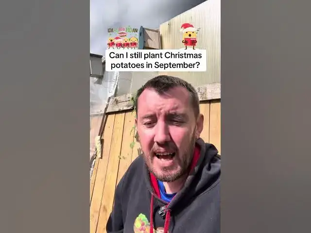 'Video thumbnail for 🥔🎄 Can I Still Plant Christmas Potatoes in September? | Allotment Gardening Tips 🌱'
