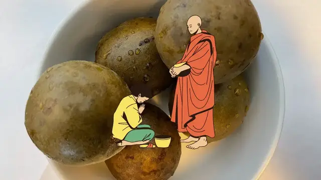'Video thumbnail for benefits of Luo Han Guo Monk Fruit'