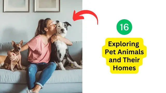 Video thumbnail for Exploring Pet Animals and Their Homes | Educational Video