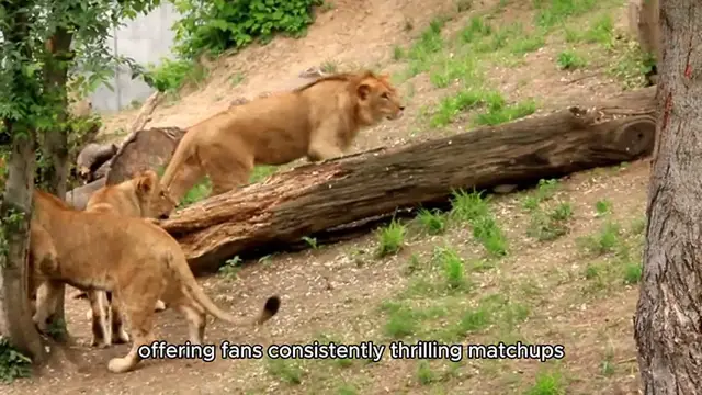 Video thumbnail for mystics vs lynx