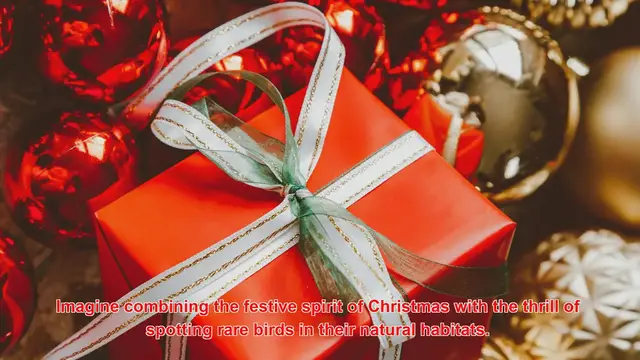 Video thumbnail for How Do People Celebrate Christmas With Birdwatching Tours?