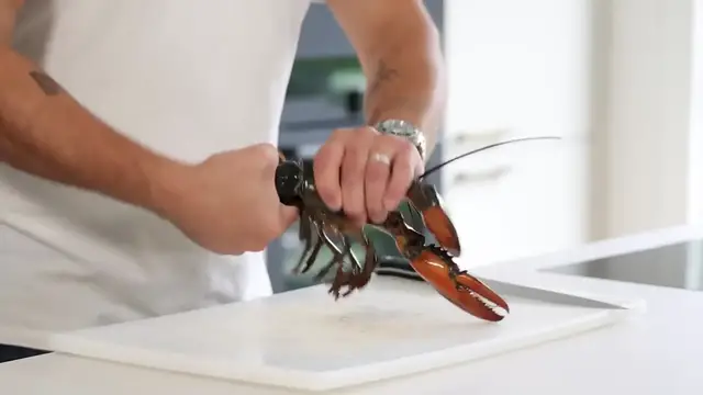 Video thumbnail for My favorite lobster   zucchini dish  Fine dining bisque hollandaise with zucchini rouleaux(720P HD)