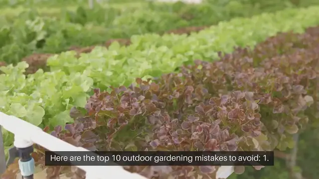 Video thumbnail for Top 10 Outdoor Gardening Mistakes to Avoid