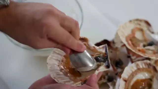 Video thumbnail for Scallops Ceviche Amuse  Fine Dining Christmas Menu Special  Tiger Milk with Caviar   Pistachio(720P HD)