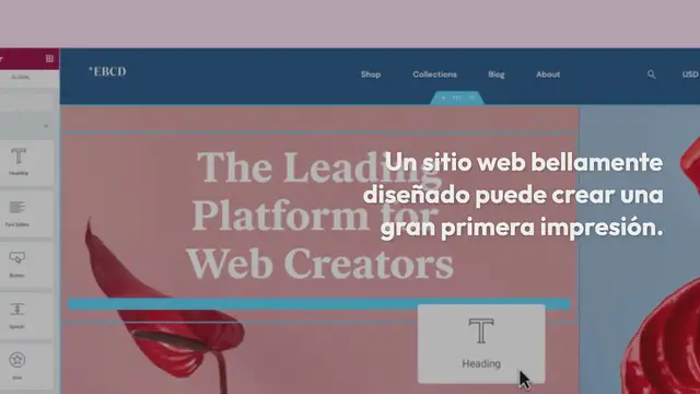 Video thumbnail for Cómo crear un sitio de WordPress con Elementor: La guía definitiva
