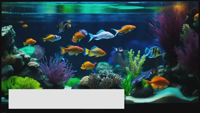 'Video thumbnail for Best Fish Tank Filter Types: A Selection Guide'