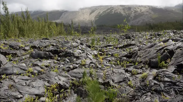 Video thumbnail for Lavalandschaft Grand Brûlé an der Südostküste von Réunion