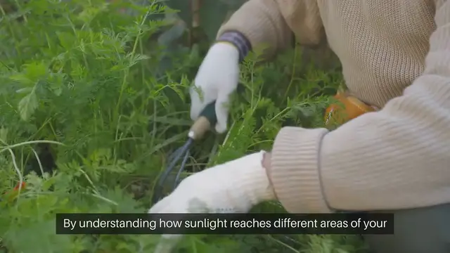 Video thumbnail for Map Garden Light Exposure