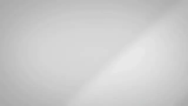 'Video thumbnail for Essay on Illegal Immigration'