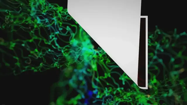 Video thumbnail for Can Cats See Infrared Light? The Fact Between Infrared Light and Your Friend!