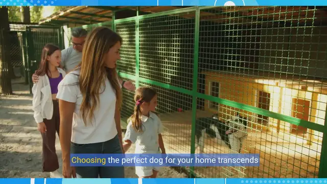 Video thumbnail for The Perfect Paws: Choosing the Best Dog for Your Family