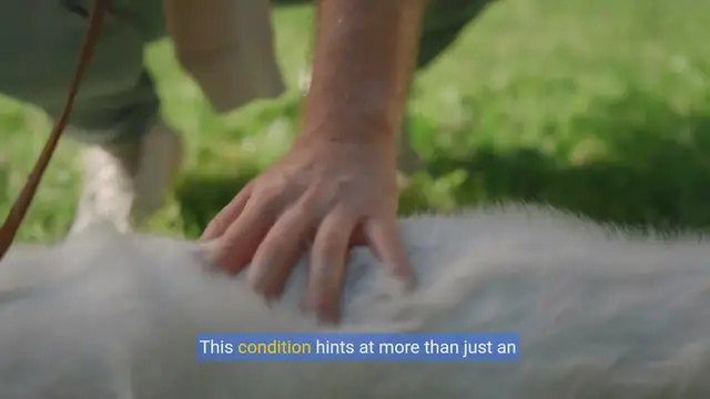 Video thumbnail for Fresh Breath for Fido: Uncovering Causes & Cures for Dog Bad Breath