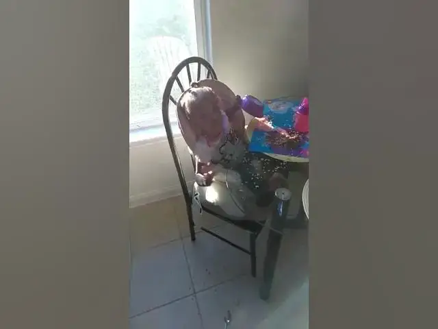 Video thumbnail for Rontryelle.. someone is making a mess.