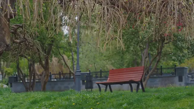 Video thumbnail for Arbors garden