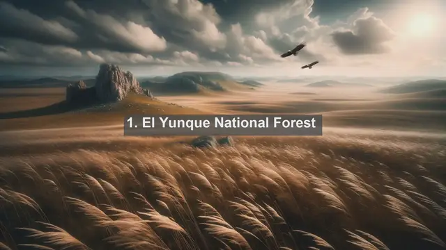 Video thumbnail for Explore Puerto Rico's Natural Wonders: Top 10 Must-See Landscapes!