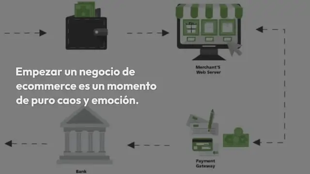 Video thumbnail for Stripe vs PayPal – ¿Qué Forma de Pago Debería Elegir?