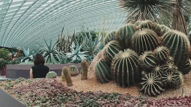 Video thumbnail for Best Botanical Gardens In Asia