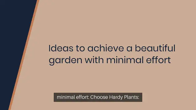 Video thumbnail for Low Maintenance Garden Ideas