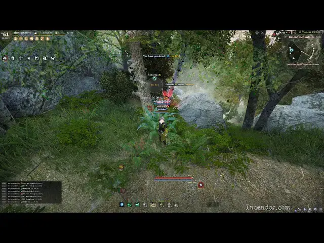 Video thumbnail for AFK Wild Herb Gathering Exploit or not? You decide! Ep 2 R Macro Wild Herb Clusters BDO Black Desert