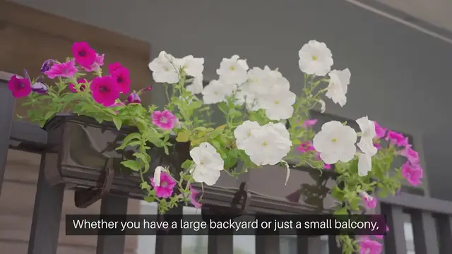 Video thumbnail for How To Start A Kitchen Garden