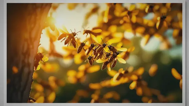 Video thumbnail for Secret Techniques to Safely Remove Wasps from Trees - Expert Tips and Precautions