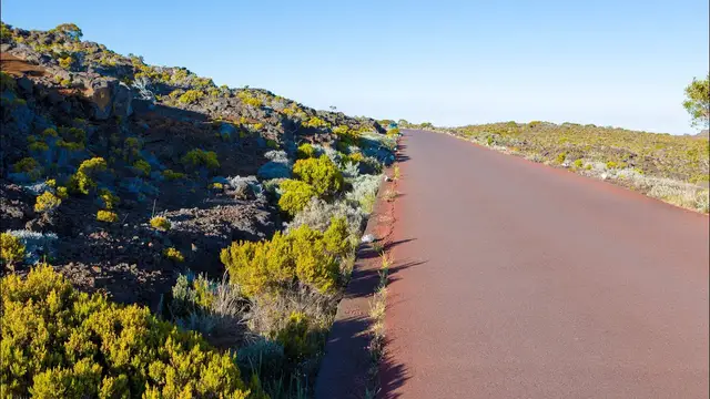 Video thumbnail for Fahrt über die Route du Volcan zum Piton de la Fournaise | La Réunion