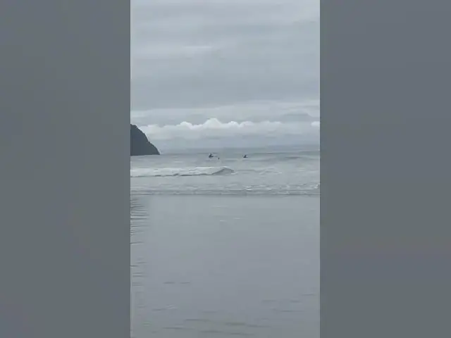 Video thumbnail for Tofino Long Beach BC