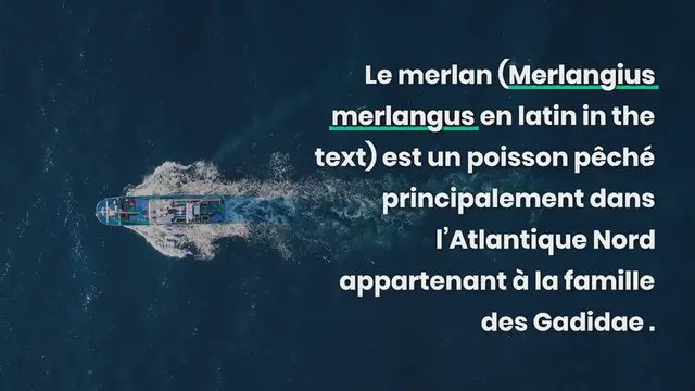 Video thumbnail for Merlan, un poisson à la chair blanche et feuilletée