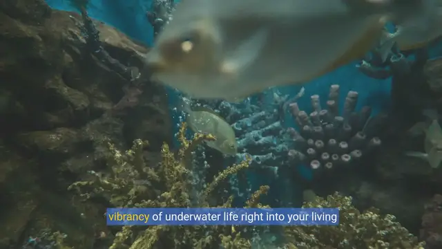 Video thumbnail for Freshwater Aquarium Mastery:Your First Tank Setup Guide