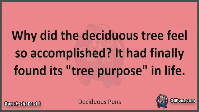 Video thumbnail for Deciduous - Jokes, Puns, Wordplays, and Laughter