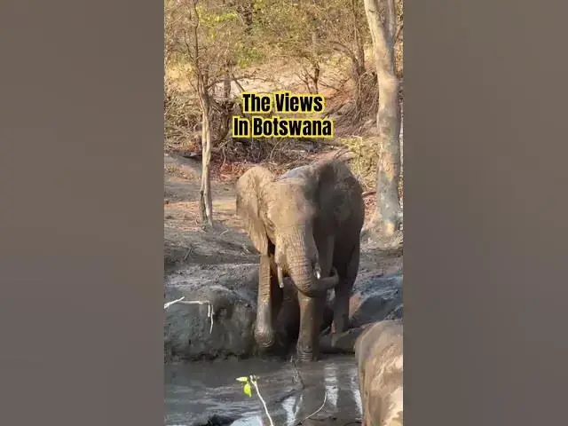 Video thumbnail for Sightseeing in Botswana #youtubeshorts