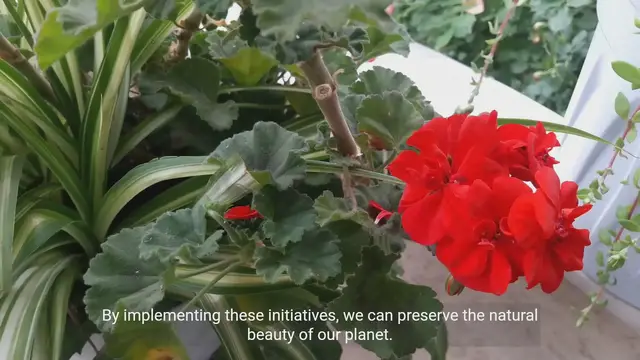 Video thumbnail for The Power of Environmental Initiatives