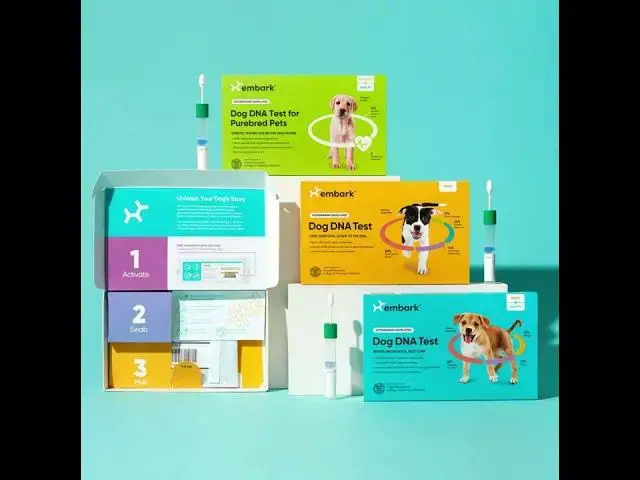 Video thumbnail for Embark dog DNA test kits