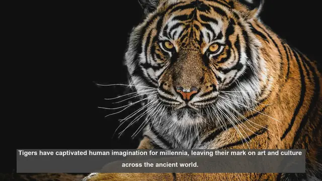 Video thumbnail for 10 Ancient Artifacts Featuring Tigers: A Cultural Journey