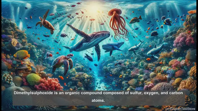 Video thumbnail for Dimethylsulphoxide in biology