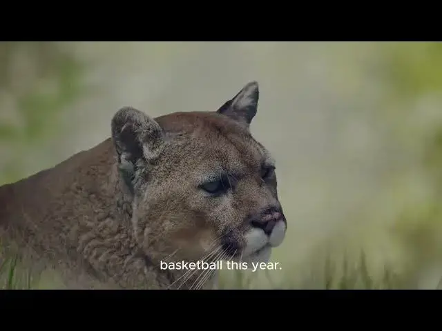 Video thumbnail for Byu Moves Into Rare Position For Program With Win Over Georgia State - Deseret News | Byu