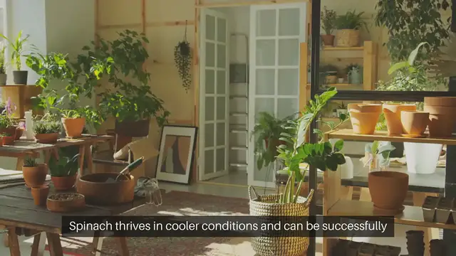 Video thumbnail for How To Create A Fairy Garden