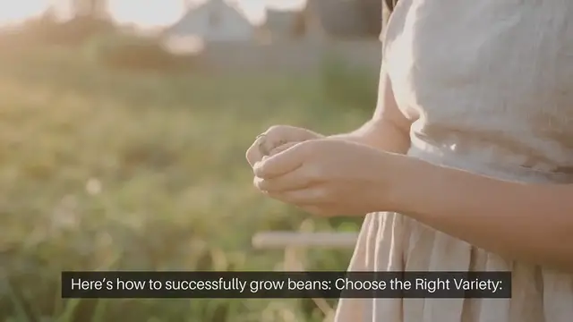 Video thumbnail for How To Grow Beans In Your Garden