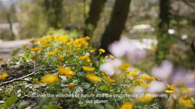 Video thumbnail for Exploring the Impact of Environmental Conservation