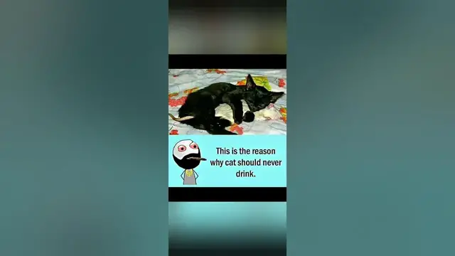 Video thumbnail for Memes only Legends will find funny,op memes | Relatable memes | #213 #shorts #memes #anonymous #meme