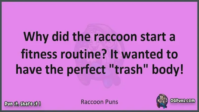 Video thumbnail for Raccoon - Jokes, Puns, Wordplays, and Laughter