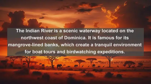 Video thumbnail for Discover the Majesty: Top 10 Famous Rivers in Dominica