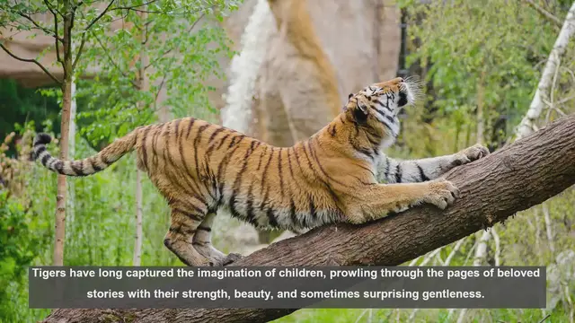 Video thumbnail for Top 10 Children's Stories Featuring Tigers