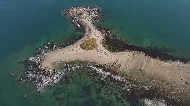 Video thumbnail for Tropical Gardens