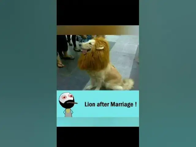 'Video thumbnail for funny memes that will make you laugh #686 || legend memes ||  funny relatable memes 😂 #memes #shorts'